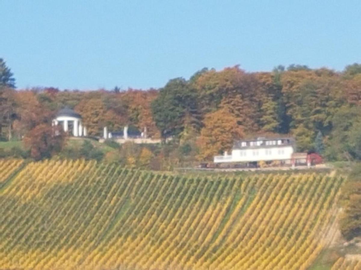 Das Rebenhaus Rüdesheim am Rhein Kültér fotó