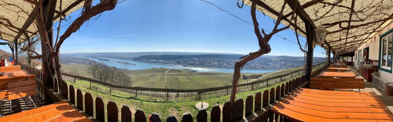 Das Rebenhaus Rüdesheim am Rhein Kültér fotó