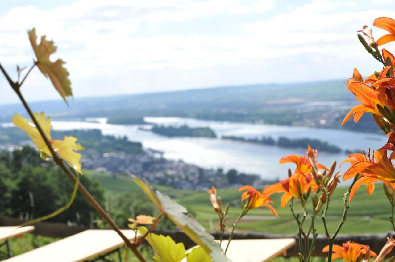 Das Rebenhaus Rüdesheim am Rhein Kültér fotó