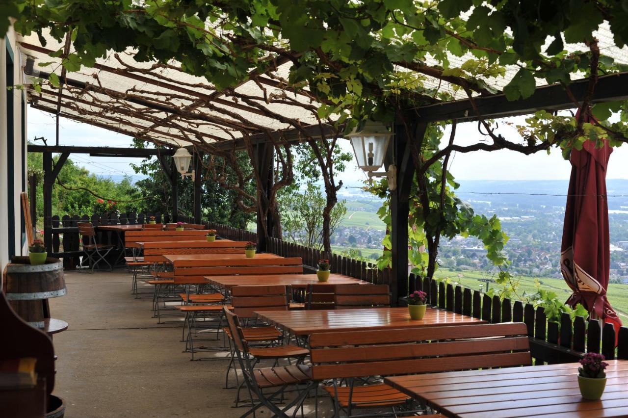 Das Rebenhaus Rüdesheim am Rhein Kültér fotó