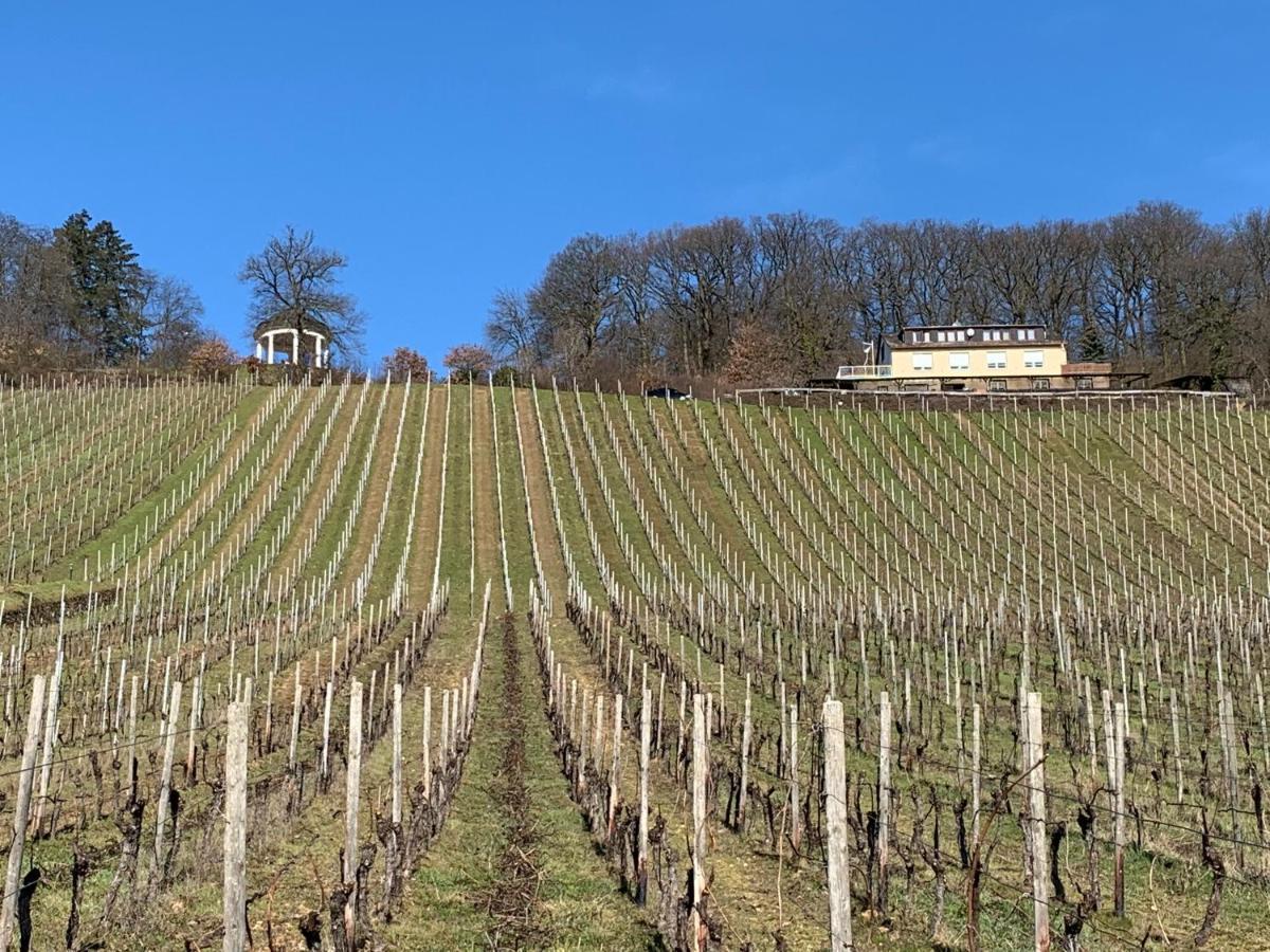 Das Rebenhaus Rüdesheim am Rhein Kültér fotó