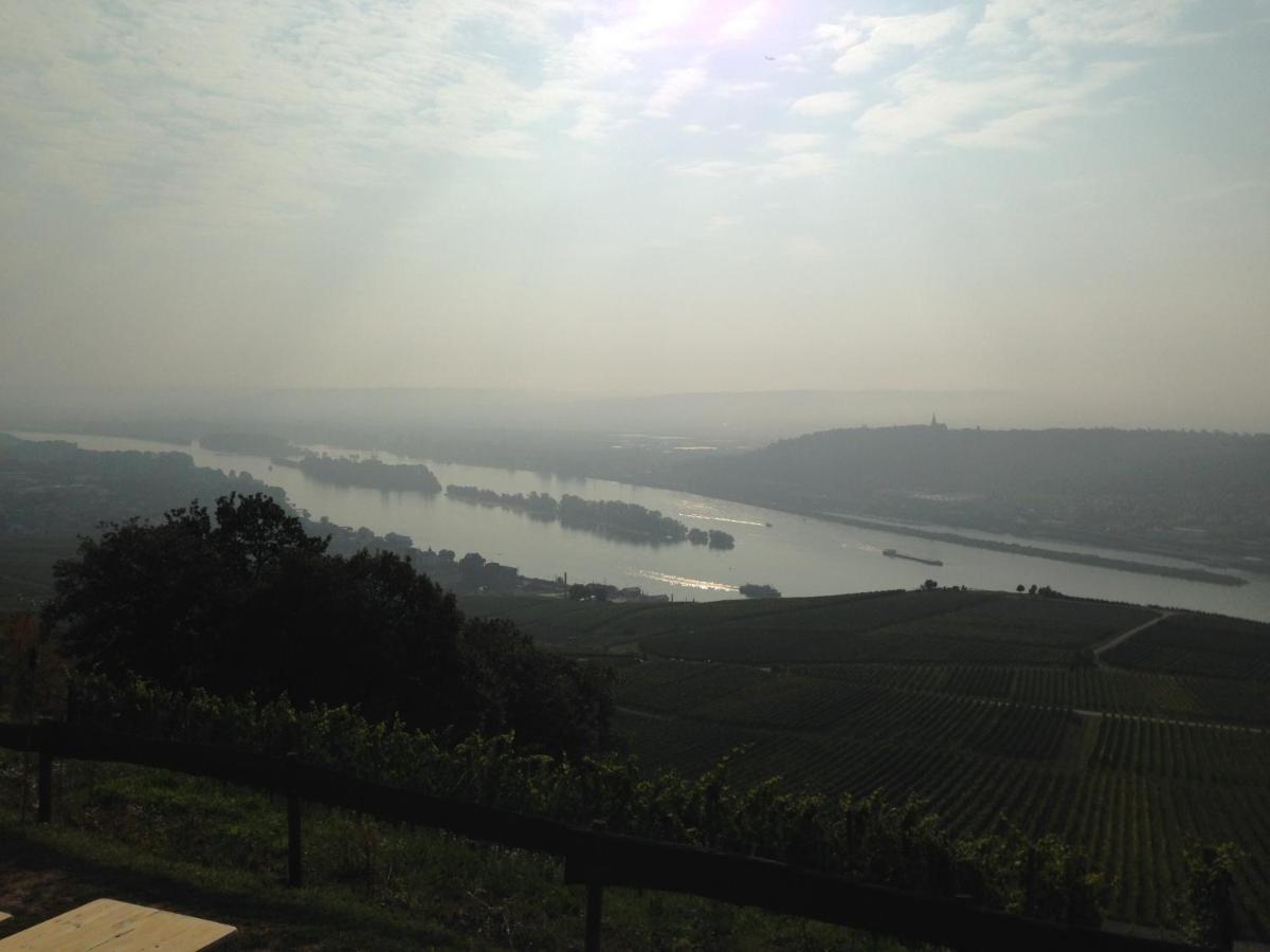 Das Rebenhaus Rüdesheim am Rhein Kültér fotó