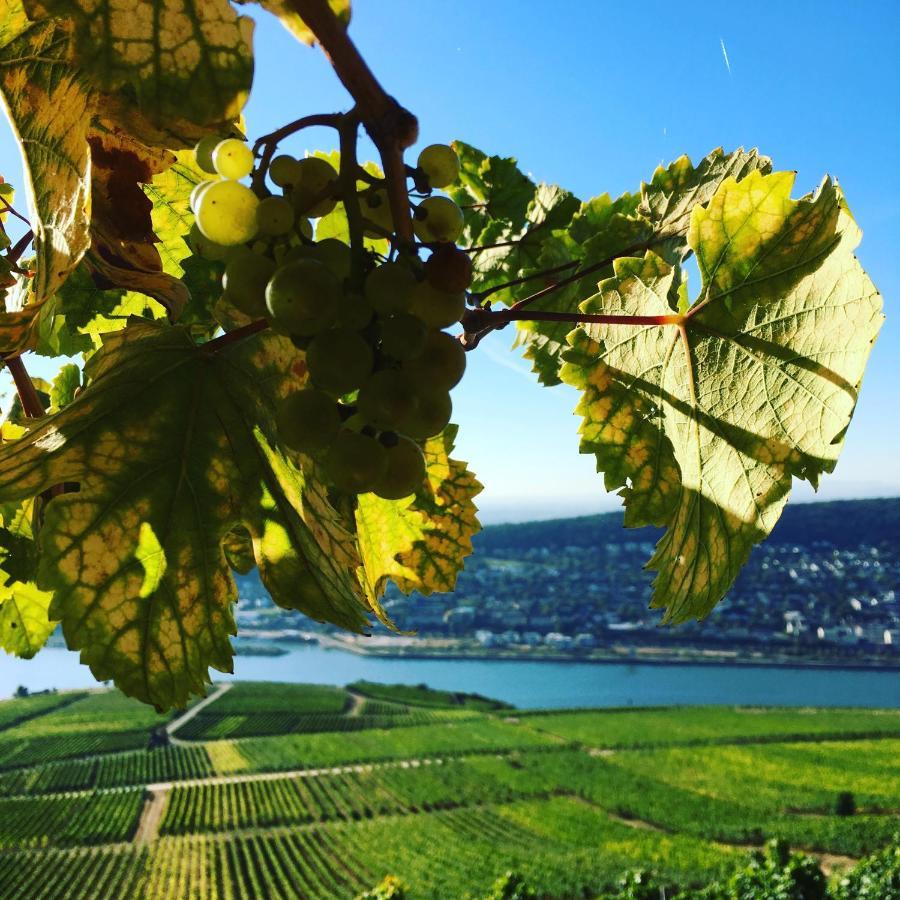 Das Rebenhaus Rüdesheim am Rhein Kültér fotó