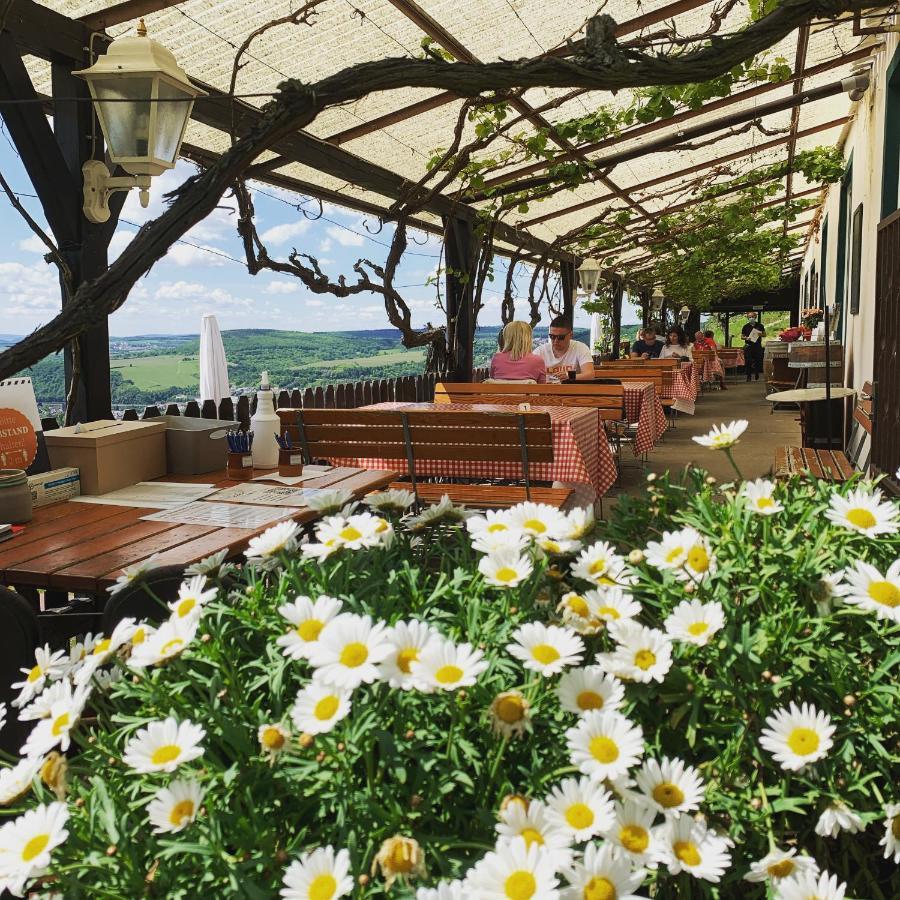 Das Rebenhaus Rüdesheim am Rhein Kültér fotó