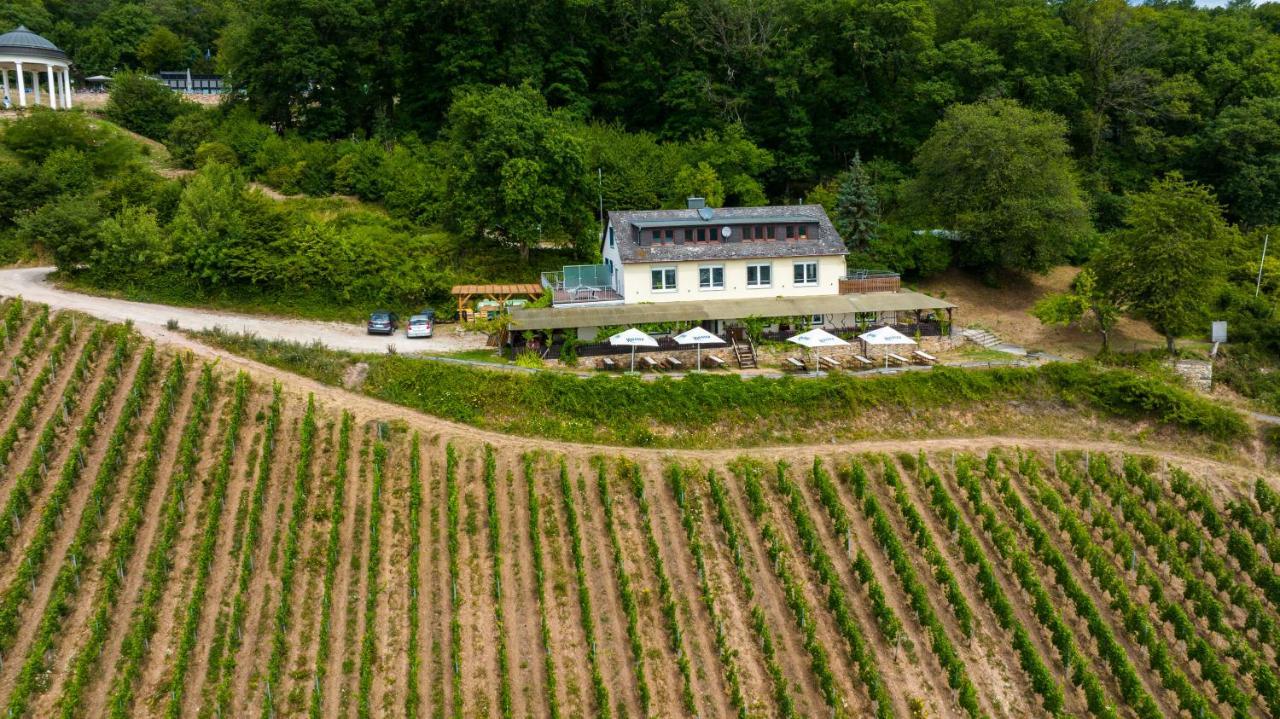 Das Rebenhaus Rüdesheim am Rhein Kültér fotó