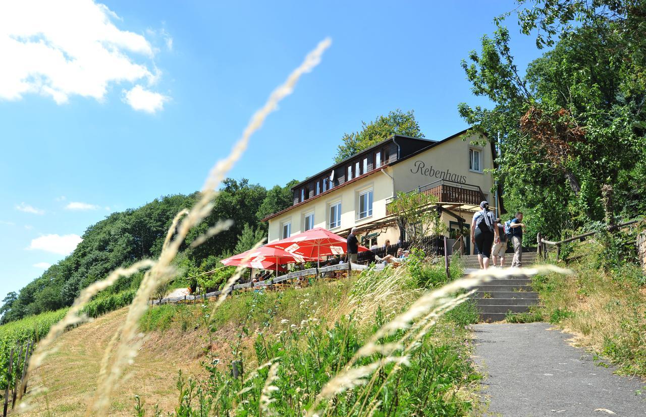 Das Rebenhaus Rüdesheim am Rhein Kültér fotó