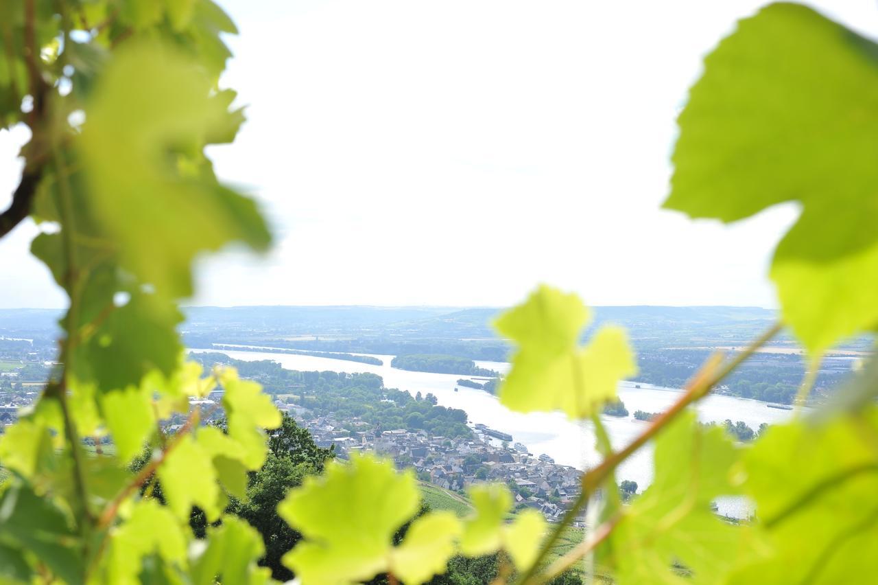 Das Rebenhaus Rüdesheim am Rhein Kültér fotó