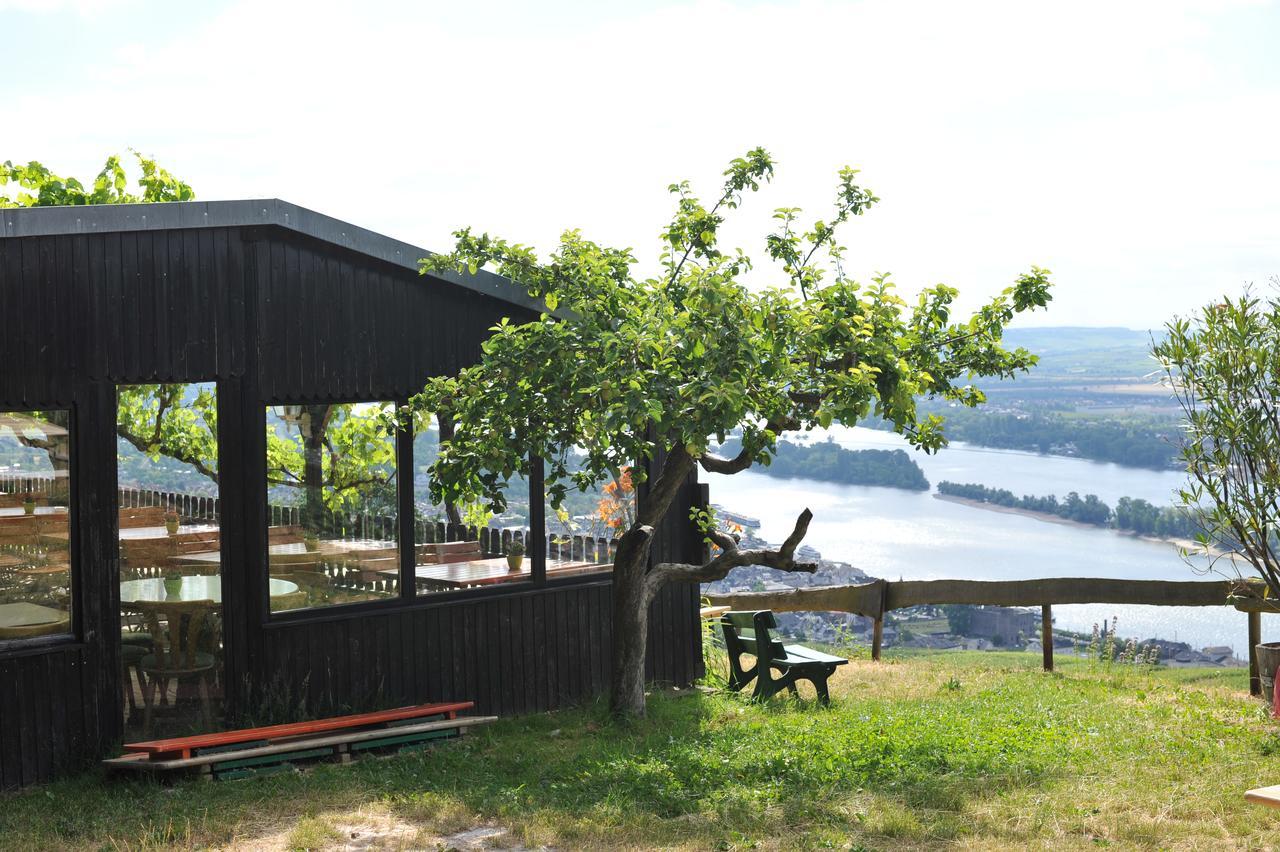 Das Rebenhaus Rüdesheim am Rhein Kültér fotó