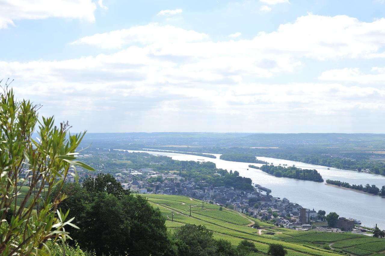 Das Rebenhaus Rüdesheim am Rhein Kültér fotó